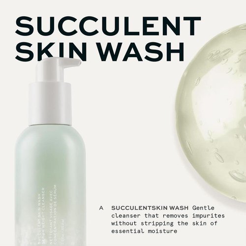 MAKE Succulent Skin Wash – Gentle Face Cleanser – pH Balanced Daily Face Wash – Hydrating Low Lather Cleanser - All Skin Types Including Sensitive Skin, 7.7 Fl Oz