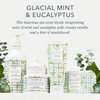 Beekman 1802 Glacial Mint & Eucalyptus Whipped Body Cream - 8 oz - Scented - Moisturizes, Soothes & Softens - With Coconut Oil & Mango Seed Butter - No Irritation - Good for Sensitive Skin
