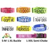 Friendly Green Color Coded S-M L-XL Buckle Dog Collar (Known As Friendly) Prevents Accidents by Warning Others of Your Dog in Advance (L-XL 15-25" Lx1.5 W)