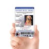 XpressID Holographic Service Dog ID Card Custom + Digital ID for Mobile Devices | Registration to Service Animal Registry Included - QR Code and ADA Ready