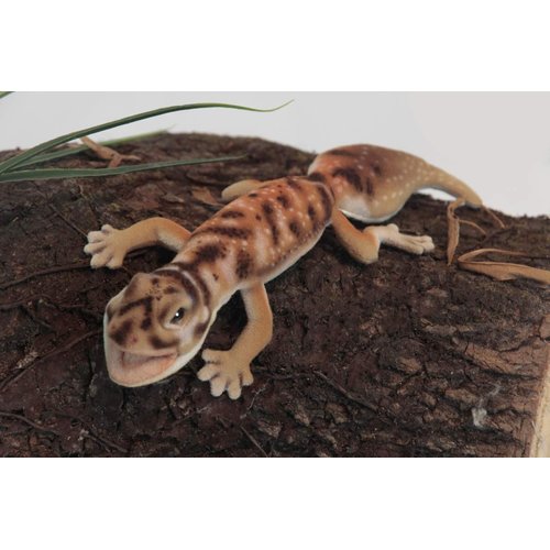 Hansa Toys USA Gecko Finger Puppet, Tan, 25"