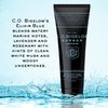 C.O. Bigelow Hair and Body Wash for Men Elixir Blue, No. 1604, 8 fl oz, Mens Body Wash & Shampoo, Lavender & Rosemary Moisturizing Mens Shampoo & Body Wash - Elixir Blue, No. 1604, 8 fl oz, Pack of 2