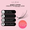 LLBA Promade Wispy Lash Extensions 9D 0.05, 100% Handmade Eyelashes Volume Fans, C Cc D Curls, 9-17 Mm Length, Long-Lasting, Easy Application (D 14 mm)