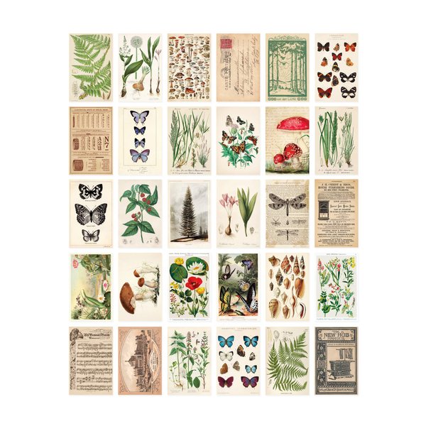 Wintertime Crafts Vintage Collection Postcard Set: Pack of 30 Retro Style Botanical, Nature and Ephemera Postcards