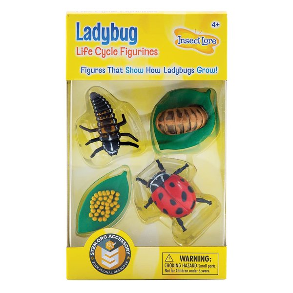 Insect Lore Ladybug Life Cycle - 4 PC Insect Figure Shows Life Of Lady Bug