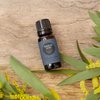 Edens Garden Frankincense & Myrrh Essential Oil Blend, 100% Pure Therapeutic Grade, Undiluted Aromatherapy- 30 ml