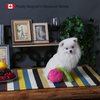 HugSmart | Hide and Seek Dog Toys (3-Pack Vegetables) | Interactive, Squeaky, Soft Plus, Crinkly Dog Toy for Small Medium Breeds (Yam, Bok Choy Radish)