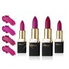 Khasana Lipstick Set. Long Lasting Gift Set. Moisturizing Formula, Infused with Vitamin E and Vitamin C. Multi Finish Lip Makeup Cream Gloss & Matte. Pack of 4. Berry Collection