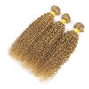 DiexrLamx Hair Honey Blonde Bundles Color #27 Kinky Curly Human Hair Bundles 18 18 18 Inch Brazilian Virgin Hair Color #27 Bundles Human Hair Blonde Curly Bundles Hair Weave