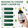 Seddy Organic Castor Oil - 100% Pure - Cold Pressed | Hexane-Free | Premium Grade Oil for Hair Growth, Scalp, Eyelashes, Eyebrows, Skin, & Nails | Glass Bottle- Hair Treatment Oil - 3.4 Fl. Oz