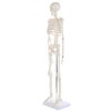 Alikeke Anatomy Lab Human Skeleton Model, 8" Mini Skeleton Replica Mounted to Base for Display, with Removable Skull Cap, Movable Arms and Legs, and Details of Human Bones