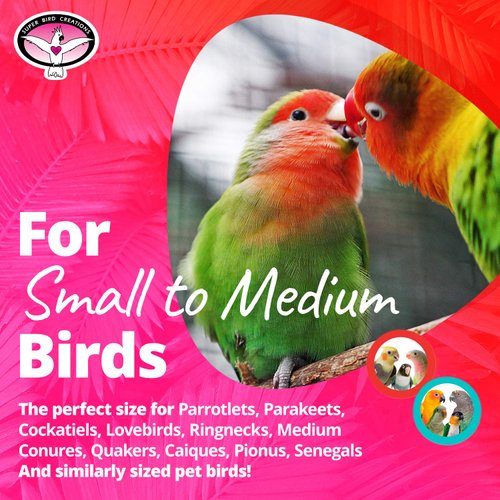 Super Bird Creations SB1088 Birdie Bouquet Toy - Engaging Bird Toys, Enrichment Toy for Parrotlets, Parakeets, Cockatiels and More, Made with Colorful Toy Parts - Small/Medium Birds, 6" x 3" x 2"
