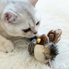 Gigwi Cat Toys for Indoor Cats, Interactive Cat Toy with Real Chirping Bird Electronic Sound, Cat Feather Toys with Soft Plush Relieve Boredom
