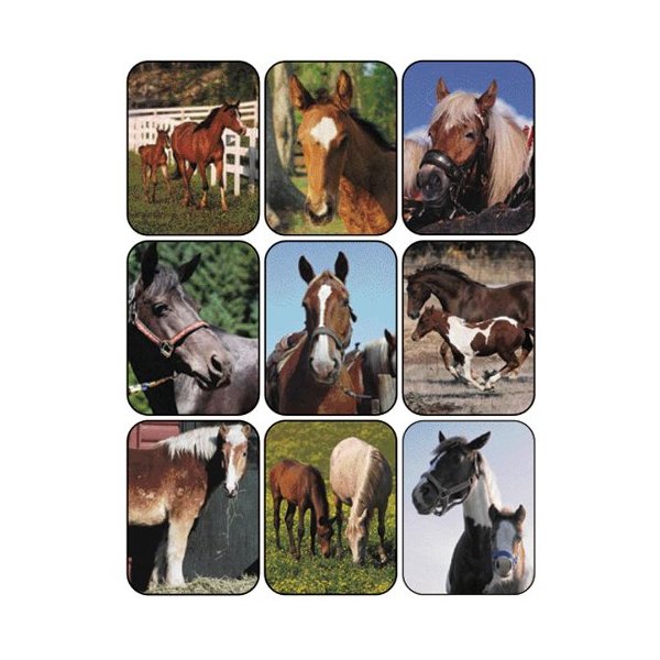 Eureka Horses Real Photos Stickers