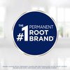 Clairol Root Touch-Up by Nice'n Easy Permanent Hair Dye, 6 Light Brown Hair Color, Pack of 2