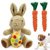 AIHSUMC 4 Pcs Easter Dog Squeaky Toys, Stuffed Dog Toy Plush Easter Egg Bunny Rabbit Toys with Crinkle Interactive Rope Carrot Easter Gift for Puppy Small Medium Dogs