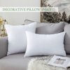 MIULEE Throw Pillow Insert Premium Pillow Stuffer Sham Rectangle for Decorative Cushion Bed Couch Sofa 12x20 Inch