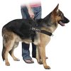 DT Universal No Pull Dog Harness, On Duty, Black, Small, Fits Girth Size: 24-Inch to 27-Inch