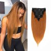 Ombre Clip in Human Hair Extensions Straight Human Hair 100% Remy Hair 140G Silky Thick Real Human Hair Extensions for Black Women 8Pcs A Total of 18 Clips(14Inch，#1B/30 Brown)