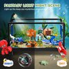 Fish Tank Building Set,Compatible with Lego Aquarium Including Marine Life Animals,Creative Lighting Fish Tank with Submarine Educational Building Toys for Kids 6-12(625Pieces)