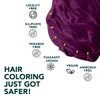 Paradyes Amethyst Plum Semi Permanent Conditioner Based Hair Color Enriched with Vegan, Natural and Herbal Hair dyes - lasts up to 8-10 washes (4.2 oz)