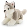Dog Stuffed Animals-Husky Stuffed Animal, 16'' Soft Dog Plush Handmade, Cuddly and Realistic Husky Stuffed Toy for Kids Boys and Girls, Huggable and Washable, Xmas Valentines Day Easter Birthday Gift