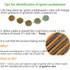 Sitronugras Pocket Size Green Sandalwood Hair Comb，No Static Natural Hair Comb – Fine Tooth Wooden Comb for Women Kids with Flower carved 2pcs with free pouch
