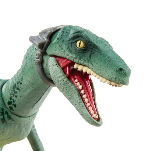 Jurassic World Toys Amber Collection Velociraptor Delta 6-in Collectible Dinosaur Action Figure with Movie-Authentic Detail, Movable Joints & Figure Display Stand; for Ages 8 Years & Up