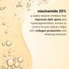 CELDYQUE Niacinamide Advanced 20% Face Vegan Serum w/Vitamin B3 Green Tea Beta-Glucan Damask Rose 63% No-Scent Even Skin Tone Minimize Pores Plump Fine Lines 2 Fl Oz
