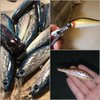 wLure 10 Blank Unpainted Minnow Crankbait Topwater Lipless Jerkbait Fishing Lures V3 (UPM431P10)