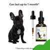 Pet Wellbeing Milk Thistle for Dogs - Supports Liver Health, Protects Liver - Glycerin-Based Natural Herbal Supplement - 2 oz (59 ml)