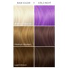 ARCTIC FOX Vegan and Cruelty-Free Semi-Permanent Hair Color Dye (8 Fl Oz, GIRLS NIGHT)