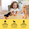 Plush Puppies Set for Toddlers Toys | 4 Plush Talking Animals | 4 Plush Stuffed Puppy Dogs | Plush Stuffed Puppies | Bulk Assorted Puppies | Baby Stuffed Animals