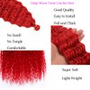 Ocean Wave Crochet Hair 18" 6 Packs Curly Deep Wave braiding hair Extensions Long Water Wave Twist Crochet Braids Hair for Women Synthetic Braid Hair(18 inch, Burgundy)