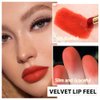 BINGBRUSH Moisturizing and Silky Velvet Lipstick Pack Set, Matte Longwear Waterproof Smooth Color Lip Crayon - Nourishing Lipstick Lipgloss Lip Stain (02#Milk orange red brown)