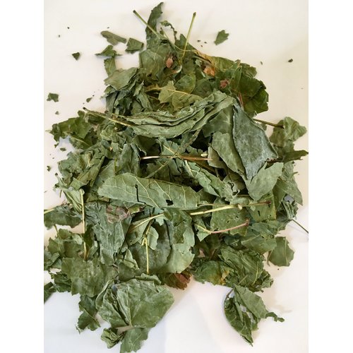 Organic Bio Herbs-Dried Smoke Tree – All-Natural, Premium Quality Smoke Bush (Cotinus) – Sustainable, Eco-Friendly, Non-GMO, Perfect for Herbal Use (4 Oz)