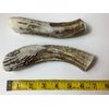 Antler Man® Premium Jumbo Deer Antler Pieces - Dog Chews - Sold by The Pound