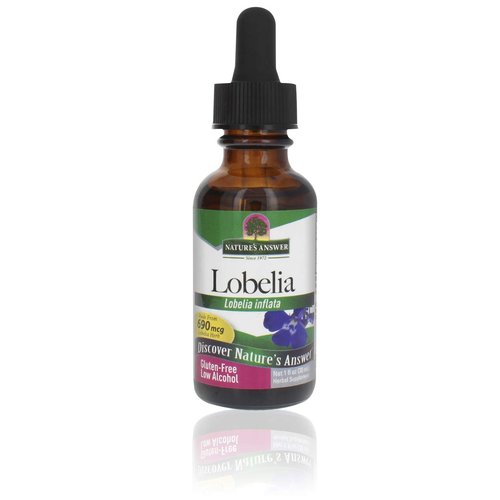 Nature’s Answer Lobelia Herb Lobelia Inflata - Natural Herbal Supplement - Gluten-Free - Ideal for Immunity Overall Health Wellbeing – 690mcg (1 FL Oz)