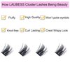 Lash Clusters 72pcs Individual Lashes D Curl Cluster Lashes Eyelash Clusters DIY Lash Extension Kit Cluster Eyelash Extensions (01-0.07D, 12mm)