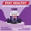 Sambucol Black Elderberry Gummies - Elderberry with Zinc and Vitamin C for Adults, Sambucus Elderberry Gummies, Immune Support Gummies - 60 Count