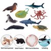 TOYMANY 24pcs Mini Ocean Animal Figurines: Realistic Cake Toppers with Sharks, Whales & Octopus - Great for Kids' Parties, Gifts & School Projects