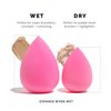 AOA Studio Beauty Makeup Sponge Blender Multiple Combo Set for Gift Makeup Blender Latex Free and High Definition set of 5 For Powder Cream and Liquid
