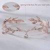 SH Rhinestone Crown for women, Wedding Tiaras and Crowns Rose Gold Tiara Headband Halloween Party Hair Accessories Birthday Pageants Prom Fairy Headpieces
