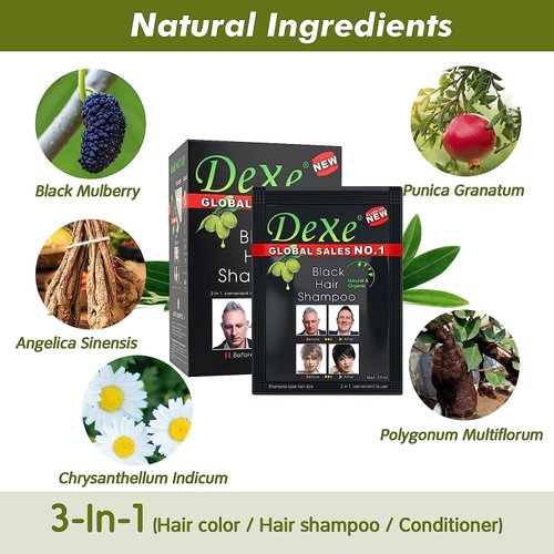 Black Hair Shampoo-Dexe Black Hair Shampoo for Natural Hair,Temporary Instant Hair Dye Maintain for Men and Women Black Color/Easy to Use/Last 30 days/Natural Ingredients (Pack of 10)