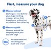 PetSafe® Deluxe Easy Walk® Dog Harness, No Pull Harness, Stop Pulling, Great For Walking and Training, Comfortable Padding, For Small Dogs- Steel/Black, Small
