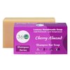 360Feel Cherry Almond Shampoo Bar Soap - Treats Itchy & Dry Scalp - Hair Treatment with Essential Oils - Vegand & Natural Ingredients - TSA Approved - Great for Hair, Body & Beard