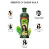 Dabur Amla Hair Oil 275ml