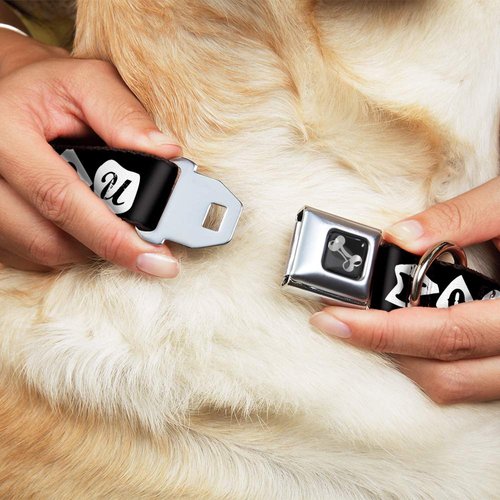 Dog Collar Seatbelt Buckle Punk You Black White 9 to 15 Inches 1.0 Inch Wide