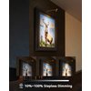 URTOM Plug in Picture Light Dimmable Art Lights for Paintings Remote Control 3000K Picture Frame Light with Timer CRI 90 LED Picture Lights for Wall Display Artwork Portrait Gallery, Copper Body