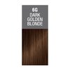 Better Natured Permanent 6G Dark Golden Brown Hair Color Dye - Naturally-derived, Vegan & 100% Gray Coverage that Lasts up to 8 Weeks